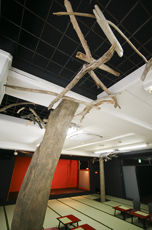 地下1階“勇魚”存在感のある6本の流木