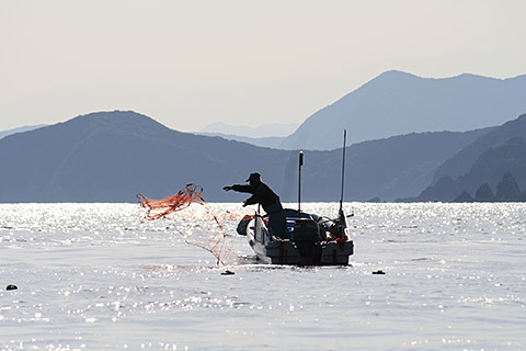 伊勢海老網漁 